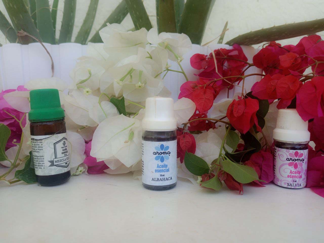 ACEITES ESENCIALES 1