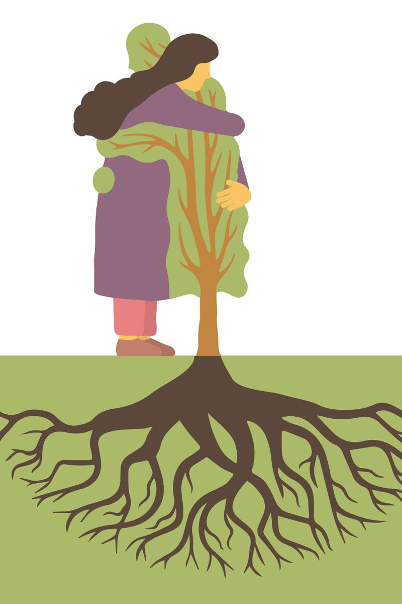 Biovida-Constelaciones-Familiares