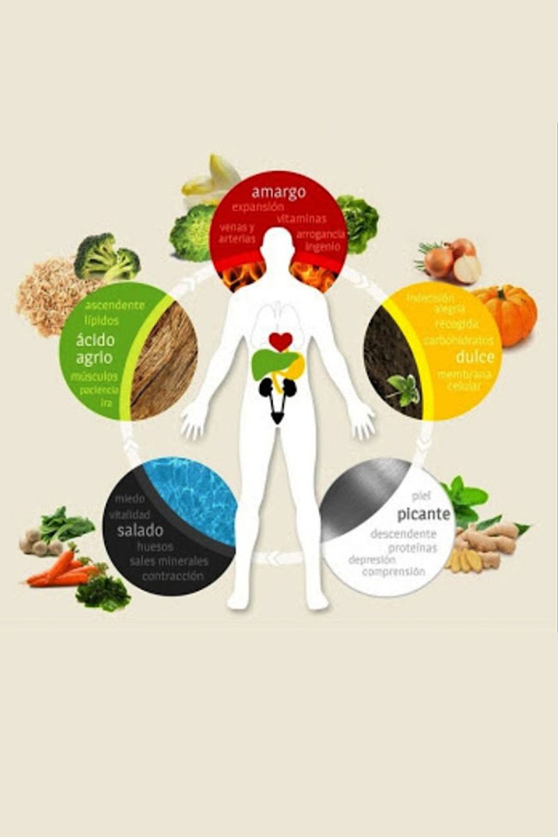 Biovida-Nutrición-según-la-MTC